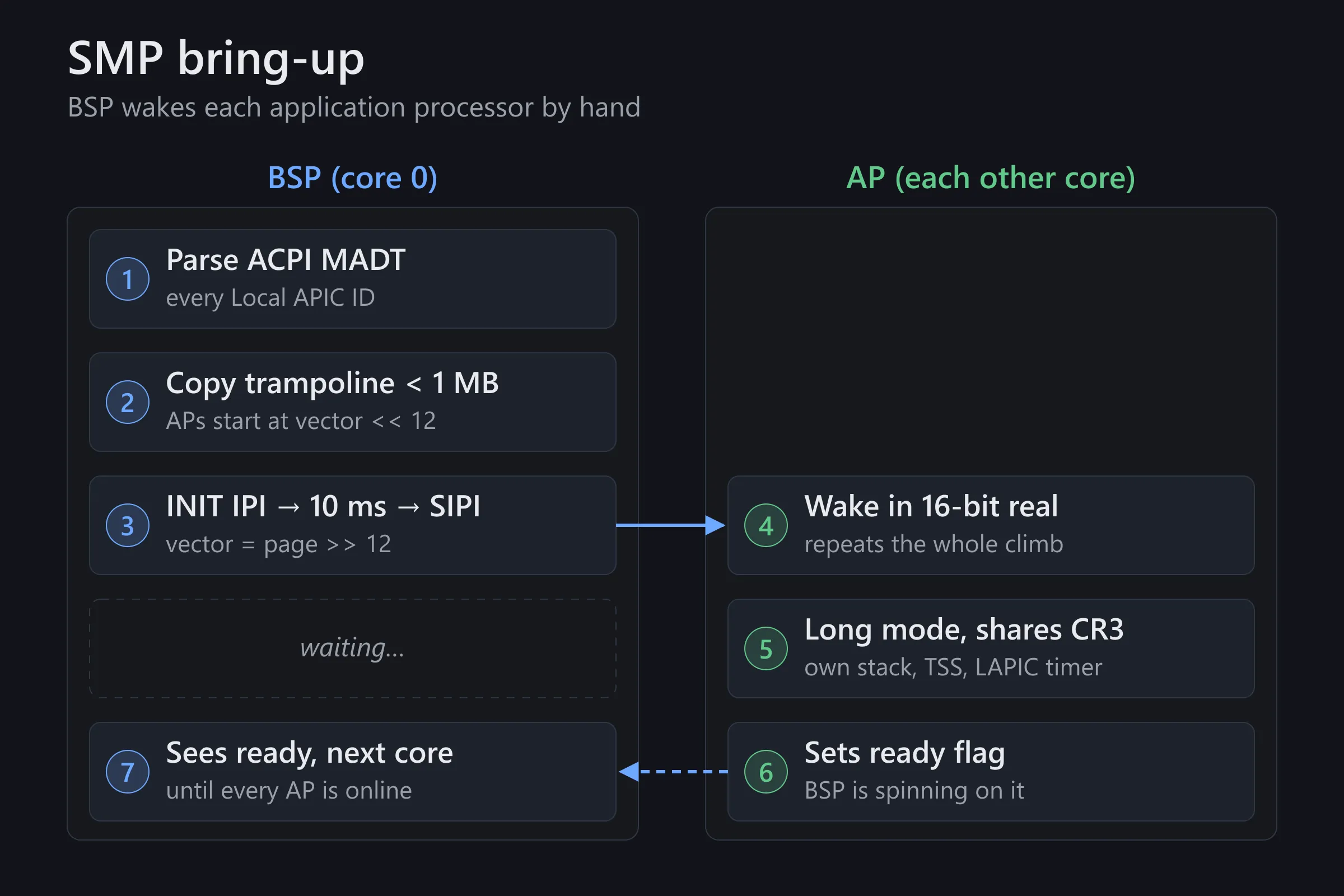 Diagram of SMP bring-up: the BSP parses the ACPI MADT, copies a trampoline below 1 MB, sends INIT and SIPI, and each AP climbs into long mode and sets a ready flag
